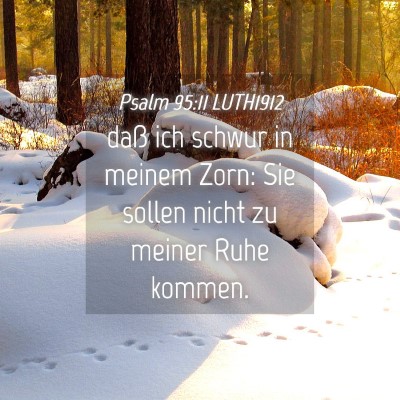 Picture 04 - Psalm 95:11 LUTH1912 - daß ich schwur in meinem Zorn: Sie sollen nicht - Bible Verse Picture
