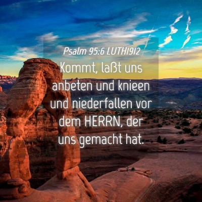 Picture 04 - Psalm 95:6 LUTH1912 - Kommt, laßt uns anbeten und knieen und - Bible Verse Picture