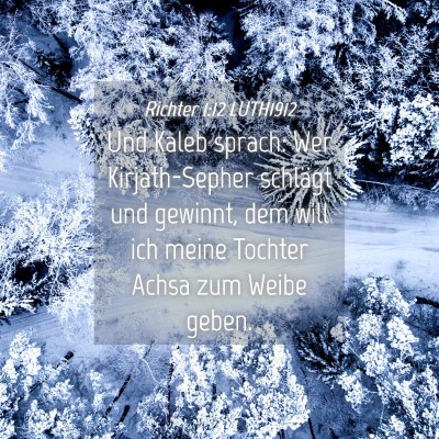 Picture 04 - Richter 1:12 LUTH1912 - Und Kaleb sprach: Wer Kirjath-Sepher schlägt und - Bible Verse Picture