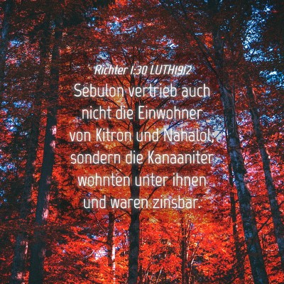Picture 04 - Richter 1:30 LUTH1912 - Sebulon vertrieb auch nicht die Einwohner von - Bible Verse Picture