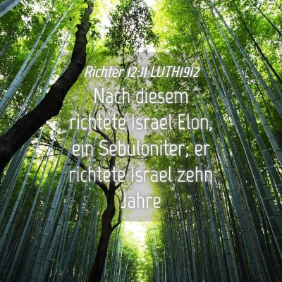Picture 04 - Richter 12:11 LUTH1912 - Nach diesem richtete Israel Elon, ein - Bible Verse Picture