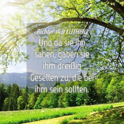 Picture 04 - Richter 14:11 LUTH1912 - Und da sie ihn sahen, gaben sie ihm dreißig - Bible Verse Picture
