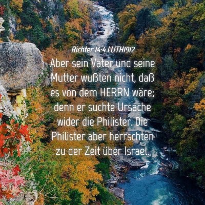 Picture 04 - Richter 14:4 LUTH1912 - Aber sein Vater und seine Mutter wußten nicht, - Bible Verse Picture
