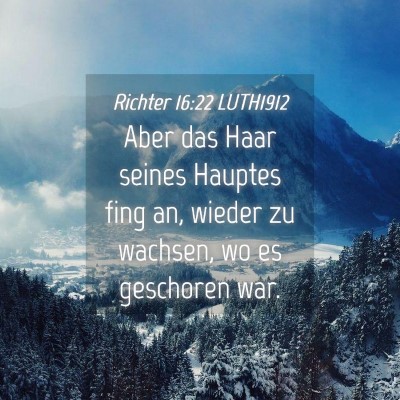 Picture 04 - Richter 16:22 LUTH1912 - Aber das Haar seines Hauptes fing an, wieder zu - Bible Verse Picture