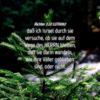 Picture 04 - Richter 2:22 LUTH1912 - daß ich Israel durch sie versuche, ob sie auf - Bible Verse Picture