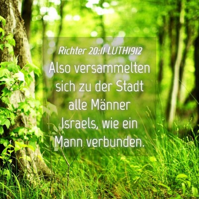 Picture 04 - Richter 20:11 LUTH1912 - Also versammelten sich zu der Stadt alle Männer - Bible Verse Picture