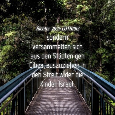 Picture 04 - Richter 20:14 LUTH1912 - sondern versammelten sich aus den Städten gen - Bible Verse Picture