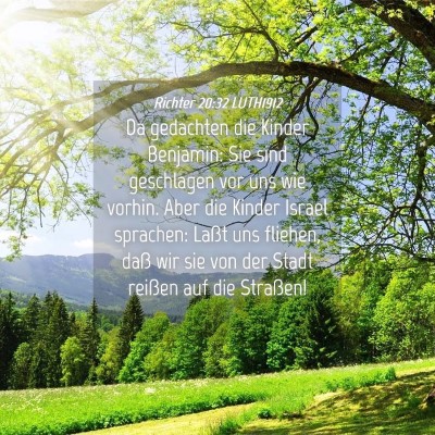Picture 04 - Richter 20:32 LUTH1912 - Da gedachten die Kinder Benjamin: Sie sind - Bible Verse Picture