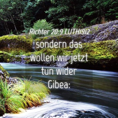 Picture 04 - Richter 20:9 LUTH1912 - sondern das wollen wir jetzt tun wider - Bible Verse Picture