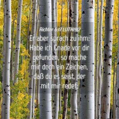 Picture 04 - Richter 6:17 LUTH1912 - Er aber sprach zu ihm: Habe ich Gnade vor dir - Bible Verse Picture