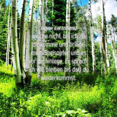 Picture 04 - Richter 6:18 LUTH1912 - weiche nicht, bis ich zu dir komme und bringe - Bible Verse Picture