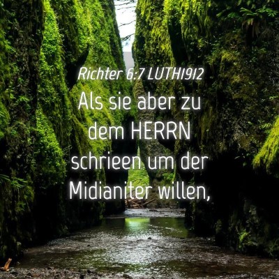 Picture 04 - Richter 6:7 LUTH1912 - Als sie aber zu dem HERRN schrieen um der - Bible Verse Picture