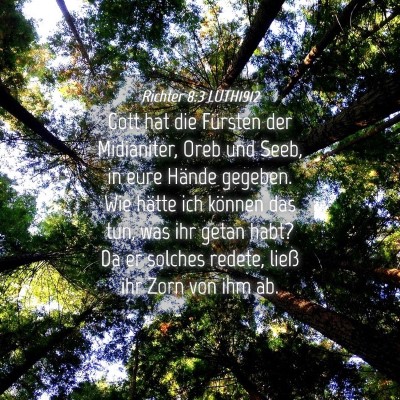 Picture 04 - Richter 8:3 LUTH1912 - Gott hat die Fürsten der Midianiter, Oreb und - Bible Verse Picture