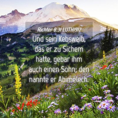 Picture 04 - Richter 8:31 LUTH1912 - Und sein Kebsweib, das er zu Sichem hatte, gebar - Bible Verse Picture
