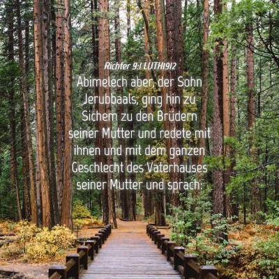 Picture 04 - Richter 9:1 LUTH1912 - Abimelech aber, der Sohn Jerubbaals, ging hin zu - Bible Verse Picture