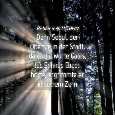 Picture 04 - Richter 9:30 LUTH1912 - Denn Sebul, der Oberste in der Stadt, da er die - Bible Verse Picture