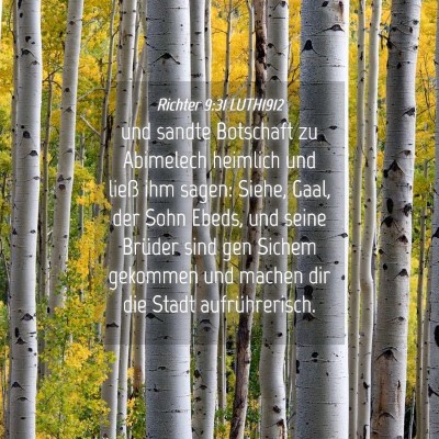 Picture 04 - Richter 9:31 LUTH1912 - und sandte Botschaft zu Abimelech heimlich und - Bible Verse Picture