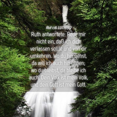 Picture 04 - Rut 1:16 LUTH1912 - Ruth antwortete: Rede mir nicht ein, daß ich - Bible Verse Picture