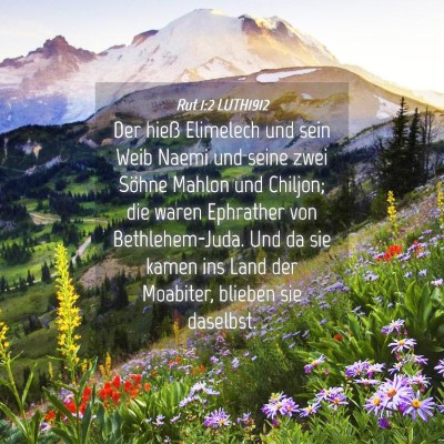 Picture 04 - Rut 1:2 LUTH1912 - Der hieß Elimelech und sein Weib Naemi und seine - Bible Verse Picture