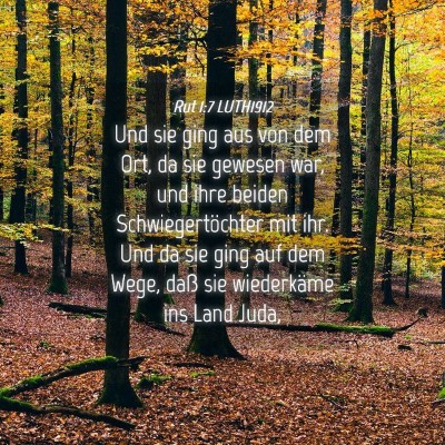 Picture 04 - Rut 1:7 LUTH1912 - Und sie ging aus von dem Ort, da sie gewesen war, - Bible Verse Picture