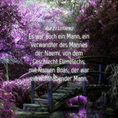 Picture 04 - Rut 2:1 LUTH1912 - Es war auch ein Mann, ein Verwandter des Mannes - Bible Verse Picture