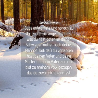 Picture 04 - Rut 2:11 LUTH1912 - Boas antwortete und sprach zu ihr: Es ist mir - Bible Verse Picture