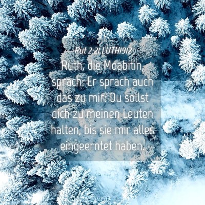 Picture 04 - Rut 2:21 LUTH1912 - Ruth, die Moabitin, sprach: Er sprach auch das zu - Bible Verse Picture