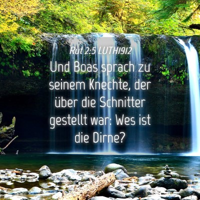 Picture 04 - Rut 2:5 LUTH1912 - Und Boas sprach zu seinem Knechte, der über die - Bible Verse Picture