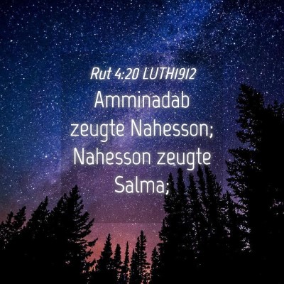 Picture 04 - Rut 4:20 LUTH1912 - Amminadab zeugte Nahesson; Nahesson zeugte - Bible Verse Picture