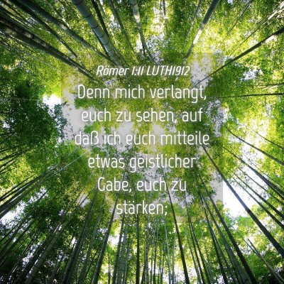 Picture 04 - Römer 1:11 LUTH1912 - Denn mich verlangt, euch zu sehen, auf daß ich - Bible Verse Picture