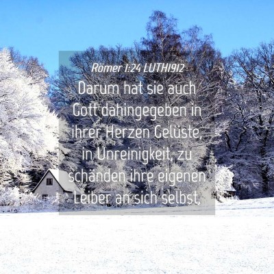 Picture 04 - Römer 1:24 LUTH1912 - Darum hat sie auch Gott dahingegeben in ihrer - Bible Verse Picture