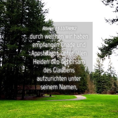 Picture 04 - Römer 1:5 LUTH1912 - durch welchen wir haben empfangen Gnade und - Bible Verse Picture