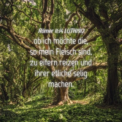 Picture 04 - Römer 11:14 LUTH1912 - ob ich möchte die, so mein Fleisch sind, zu - Bible Verse Picture