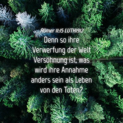 Picture 04 - Römer 11:15 LUTH1912 - Denn so ihre Verwerfung der Welt Versöhnung ist, - Bible Verse Picture