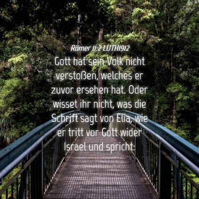 Picture 04 - Römer 11:2 LUTH1912 - Gott hat sein Volk nicht verstoßen, welches er - Bible Verse Picture