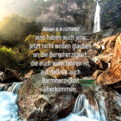 Picture 04 - Römer 11:31 LUTH1912 - also haben auch jene jetzt nicht wollen glauben - Bible Verse Picture