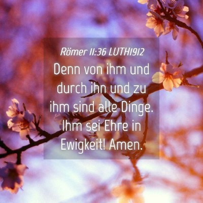 Picture 04 - Römer 11:36 LUTH1912 - Denn von ihm und durch ihn und zu ihm sind alle - Bible Verse Picture