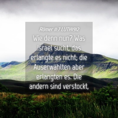 Picture 04 - Römer 11:7 LUTH1912 - Wie denn nun? Was Israel sucht, das erlangte es - Bible Verse Picture