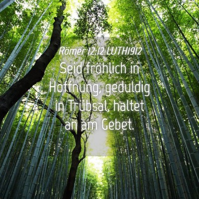 Picture 04 - Römer 12:12 LUTH1912 - Seid fröhlich in Hoffnung, geduldig in Trübsal, - Bible Verse Picture