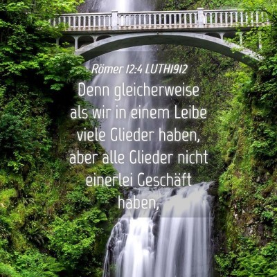 Picture 04 - Römer 12:4 LUTH1912 - Denn gleicherweise als wir in einem Leibe viele - Bible Verse Picture