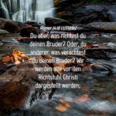Picture 04 - Römer 14:10 LUTH1912 - Du aber, was richtest du deinen Bruder? Oder, du - Bible Verse Picture