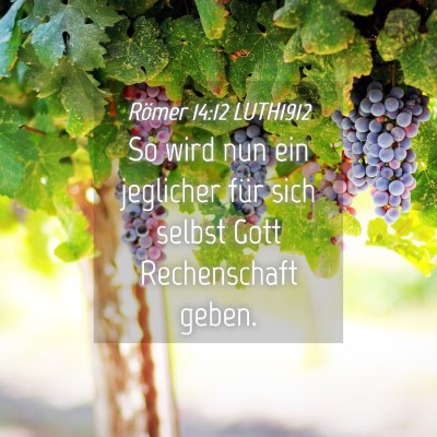 Picture 04 - Römer 14:12 LUTH1912 - So wird nun ein jeglicher für sich selbst Gott - Bible Verse Picture