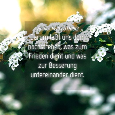 Picture 04 - Römer 14:19 LUTH1912 - Darum laßt uns dem nachstreben, was zum Frieden - Bible Verse Picture