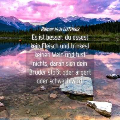 Picture 04 - Römer 14:21 LUTH1912 - Es ist besser, du essest kein Fleisch und - Bible Verse Picture