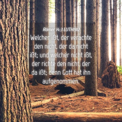 Picture 04 - Römer 14:3 LUTH1912 - Welcher ißt, der verachte den nicht, der da - Bible Verse Picture