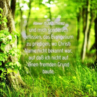 Picture 04 - Römer 15:20 LUTH1912 - und mich sonderlich geflissen, das Evangelium zu - Bible Verse Picture
