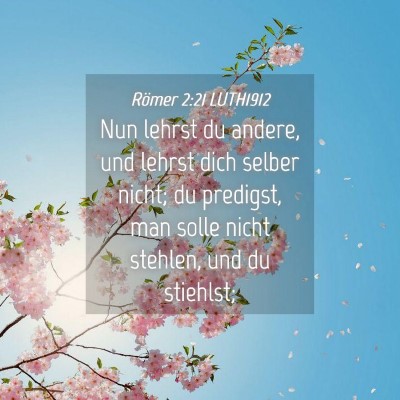 Picture 04 - Römer 2:21 LUTH1912 - Nun lehrst du andere, und lehrst dich selber - Bible Verse Picture