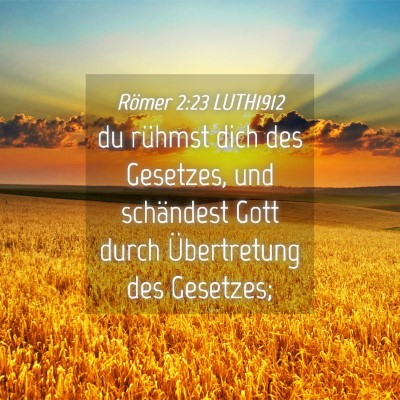 Picture 04 - Römer 2:23 LUTH1912 - du rühmst dich des Gesetzes, und schändest Gott - Bible Verse Picture