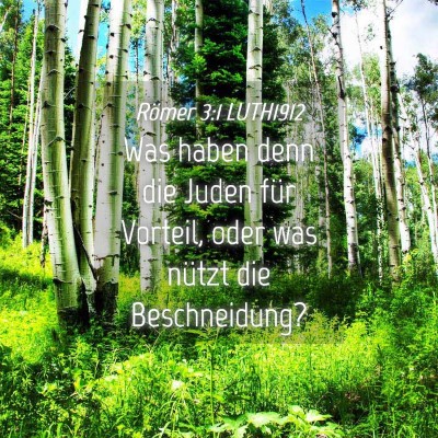 Picture 04 - Römer 3:1 LUTH1912 - Was haben denn die Juden für Vorteil, oder was - Bible Verse Picture