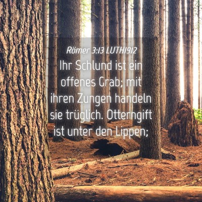 Picture 04 - Römer 3:13 LUTH1912 - Ihr Schlund ist ein offenes Grab; mit ihren - Bible Verse Picture